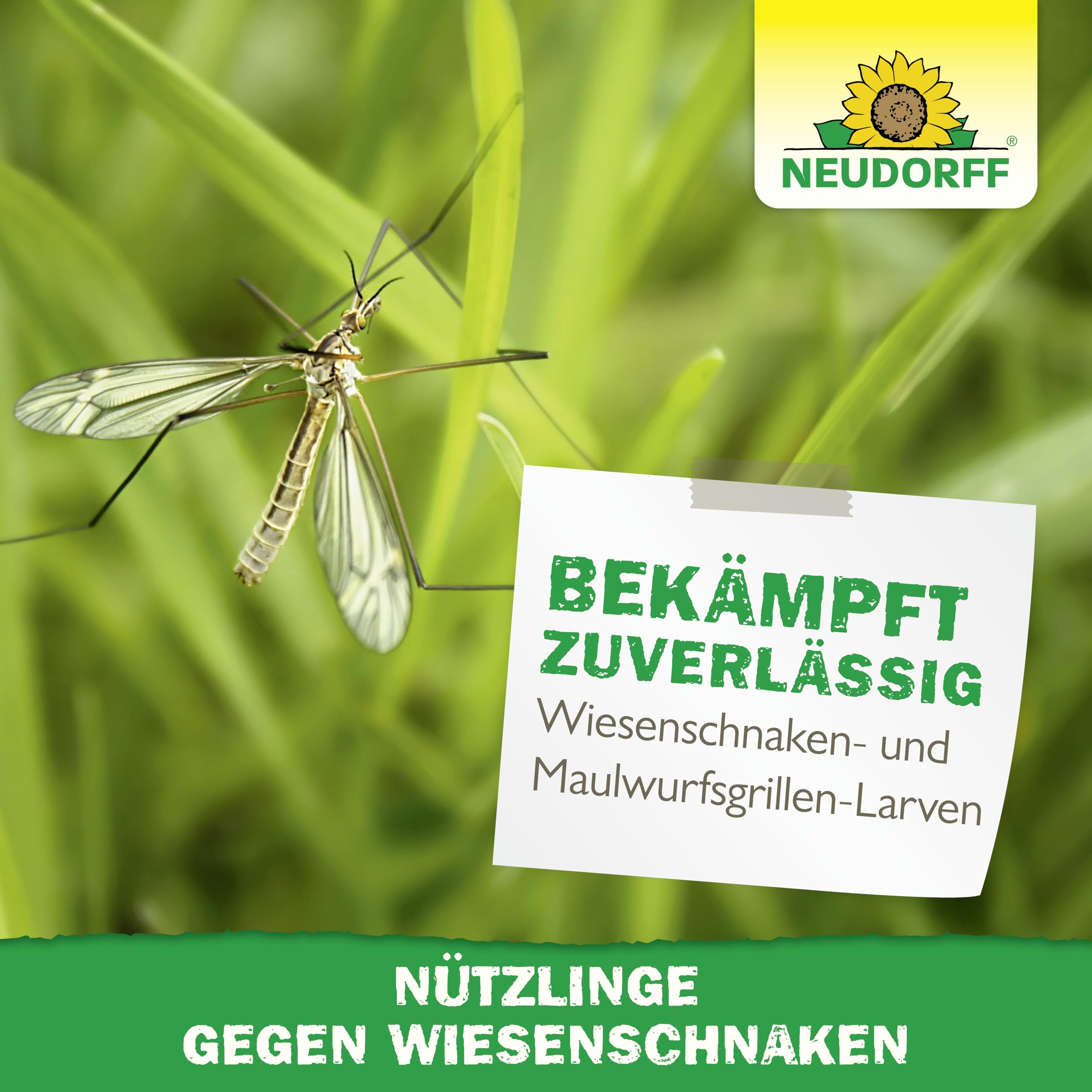 neudorff-n-tzlinge-gegen-wiesenschnaken-10-mio-sc-nematoden-f-r-20-m image 8