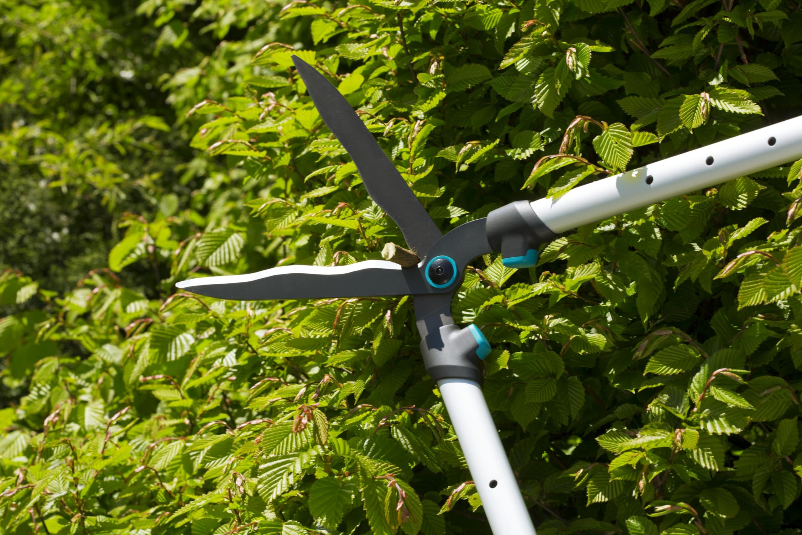 gardena-telecut-12304-20-heckenschere-mit-teleskopgriffen-und-23-cm-klinge image 3