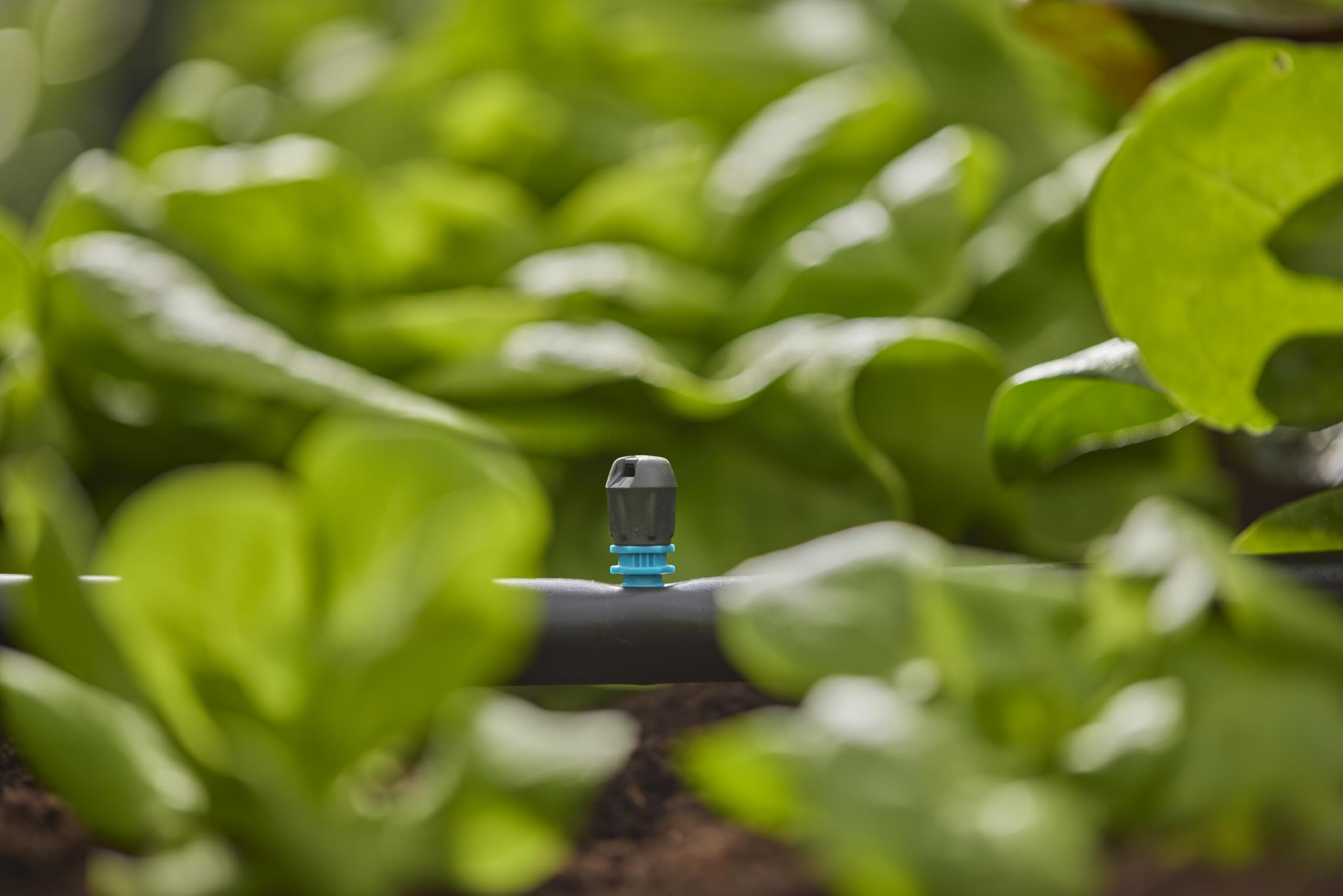 gardena-micro-drip-system-endstreifend-se-13318-20-5-st-ck-f-r-0-6-x-2-75-m image 5