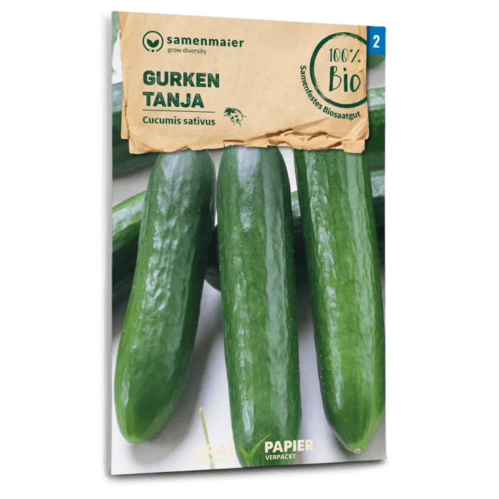 plantura-bio-salatgurke-tanja-bio-saatgut image 1