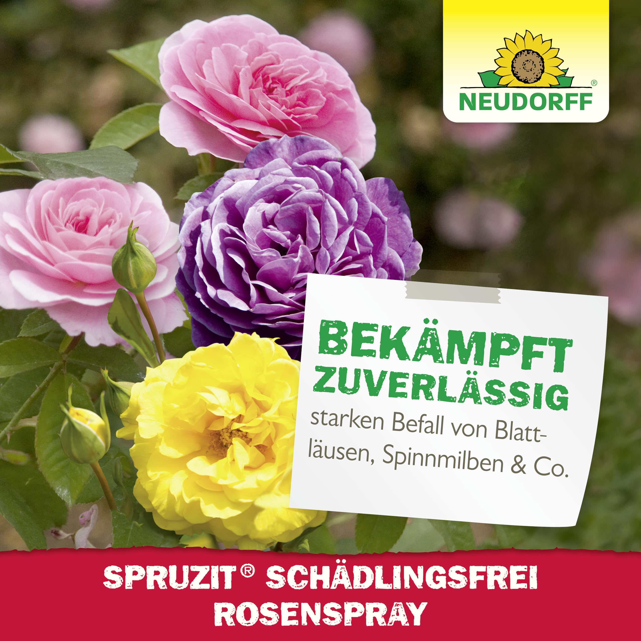 neudorff-spruzit-sch-dlingsfrei-rosenspray-750-ml-anwendungsfertig image 6