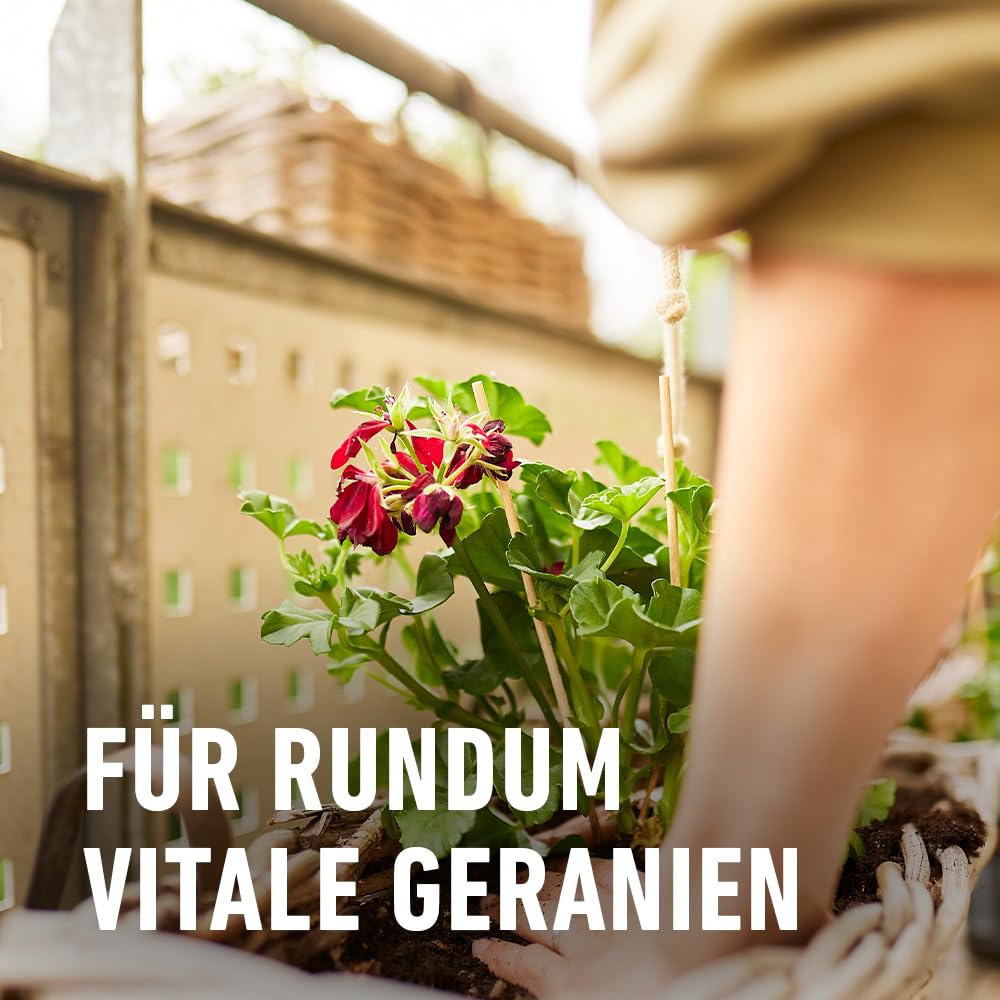 compo-geraniend-nger-spezial-fl-ssigd-nger-mit-eisen-1-3-l image 7