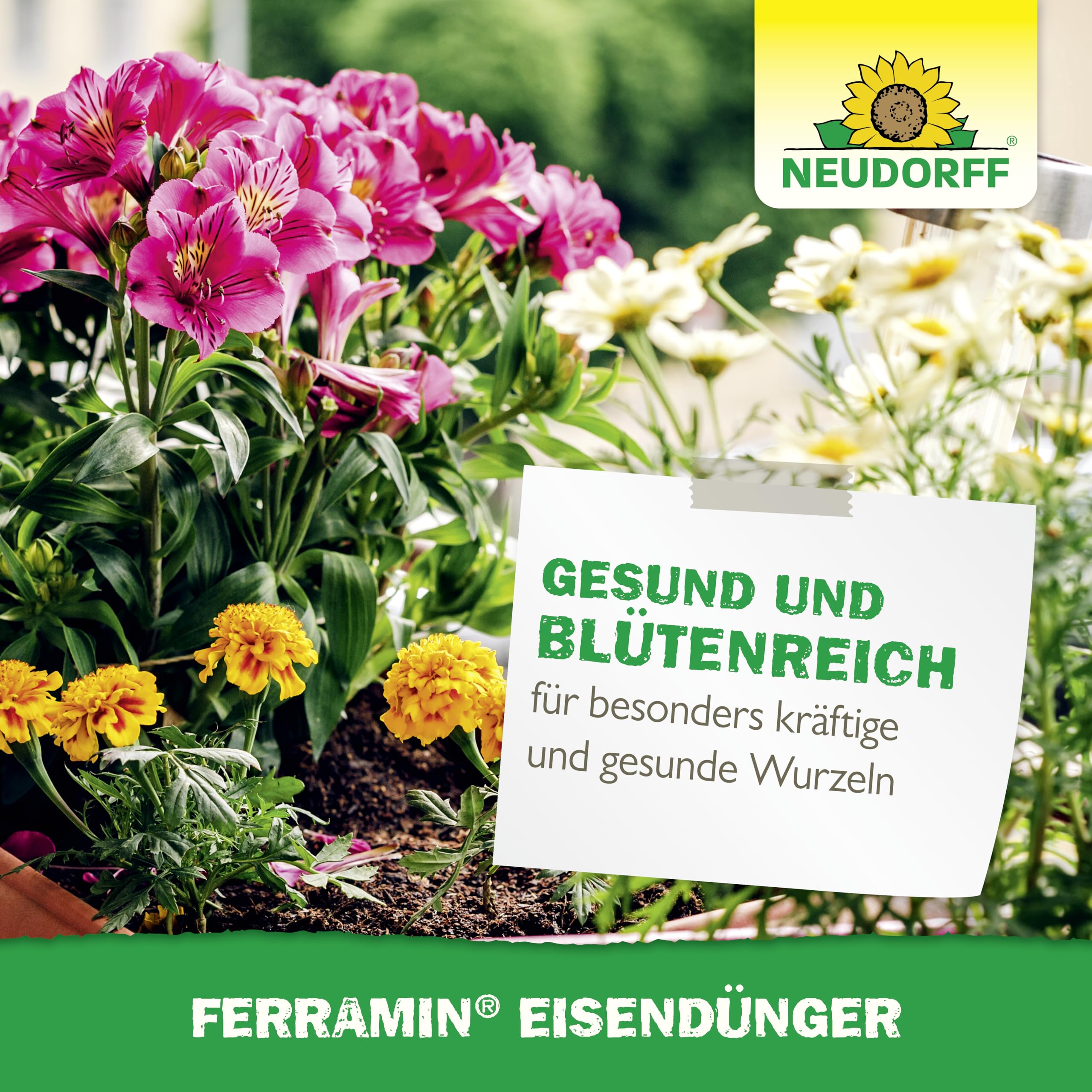 neudorff-ferramin-eisend-nger-konzentrat-250-ml image 6