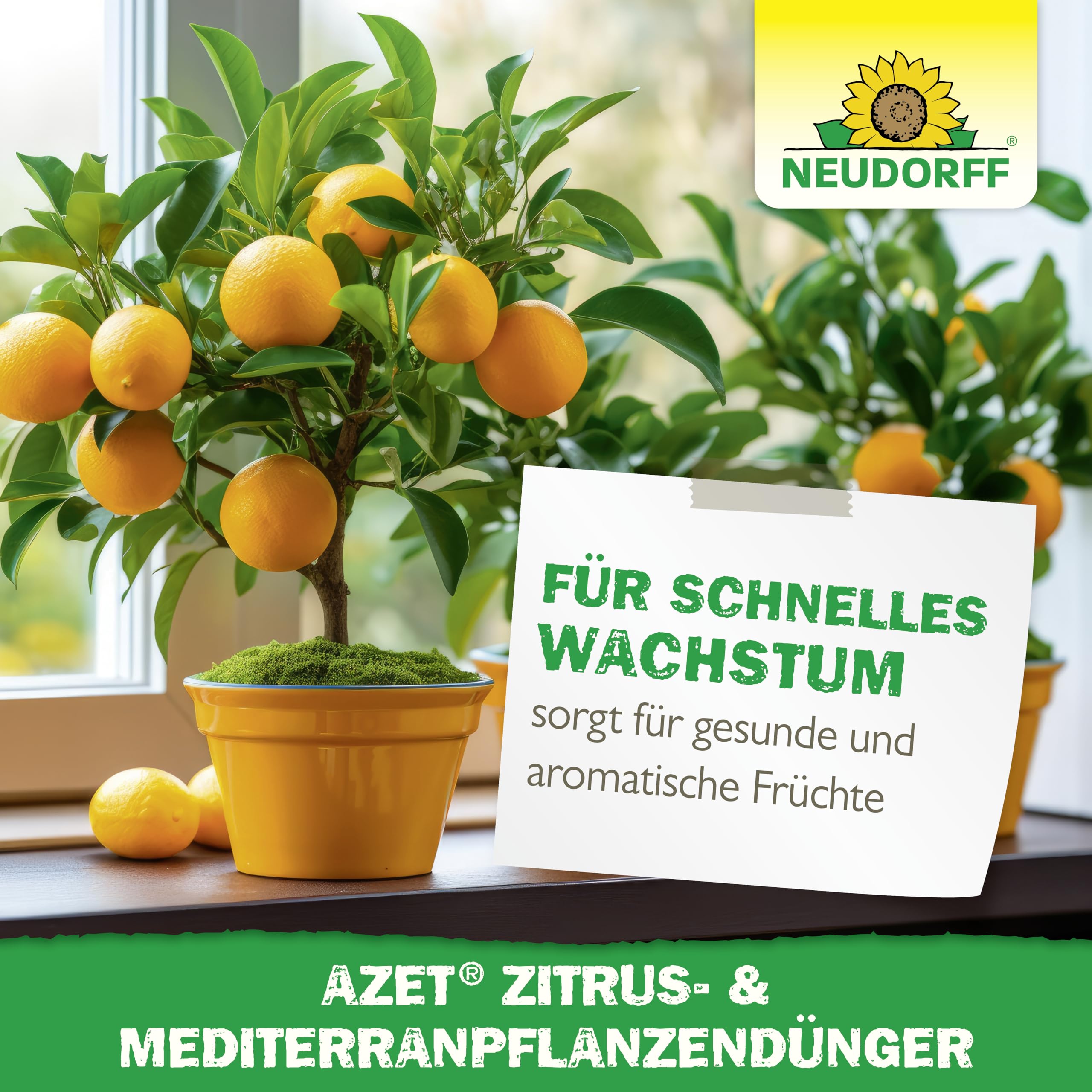 neudorff-azet-zitrus-mediterranpflanzend-nger-750-g-bio-langzeitd-nger-npk-7-3-6 image 7