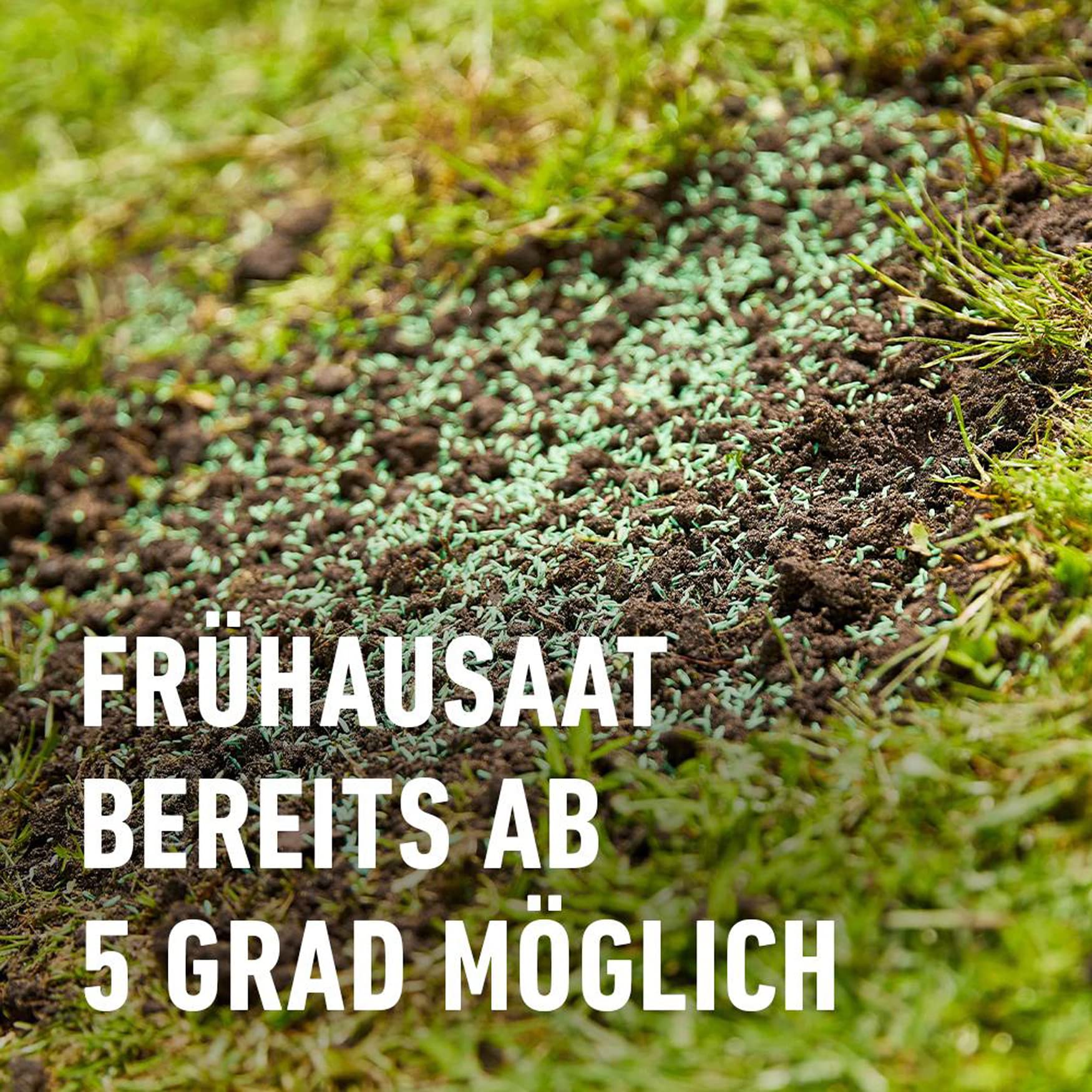 compo-saat-nachsaat-rasen-rasensamen-2-kg-f-r-100-m-mit-keimbeschleuniger image 5