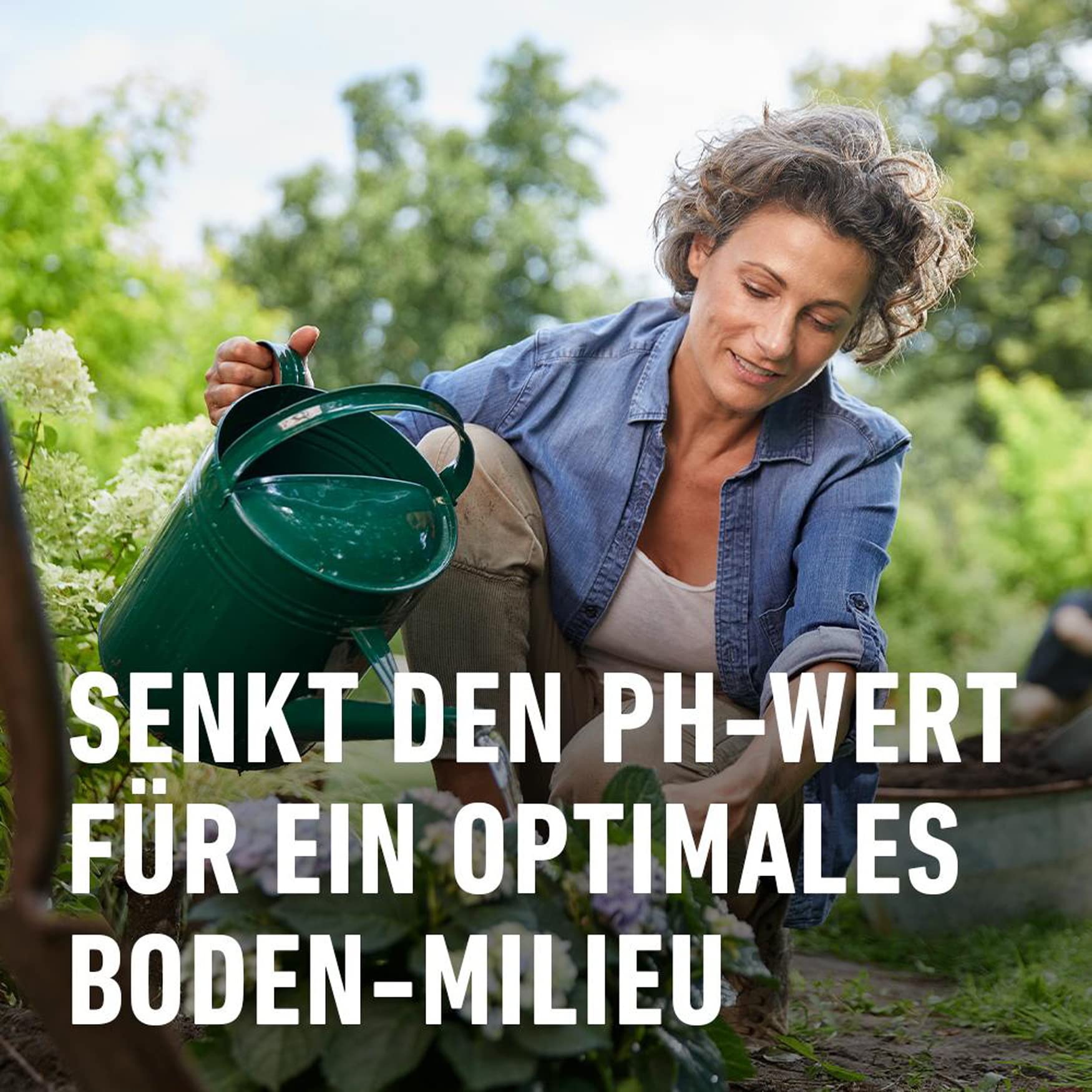 compo-rhodo-und-hortensien-vital-1-kg-pflanzenst-rkungsmittel image 5