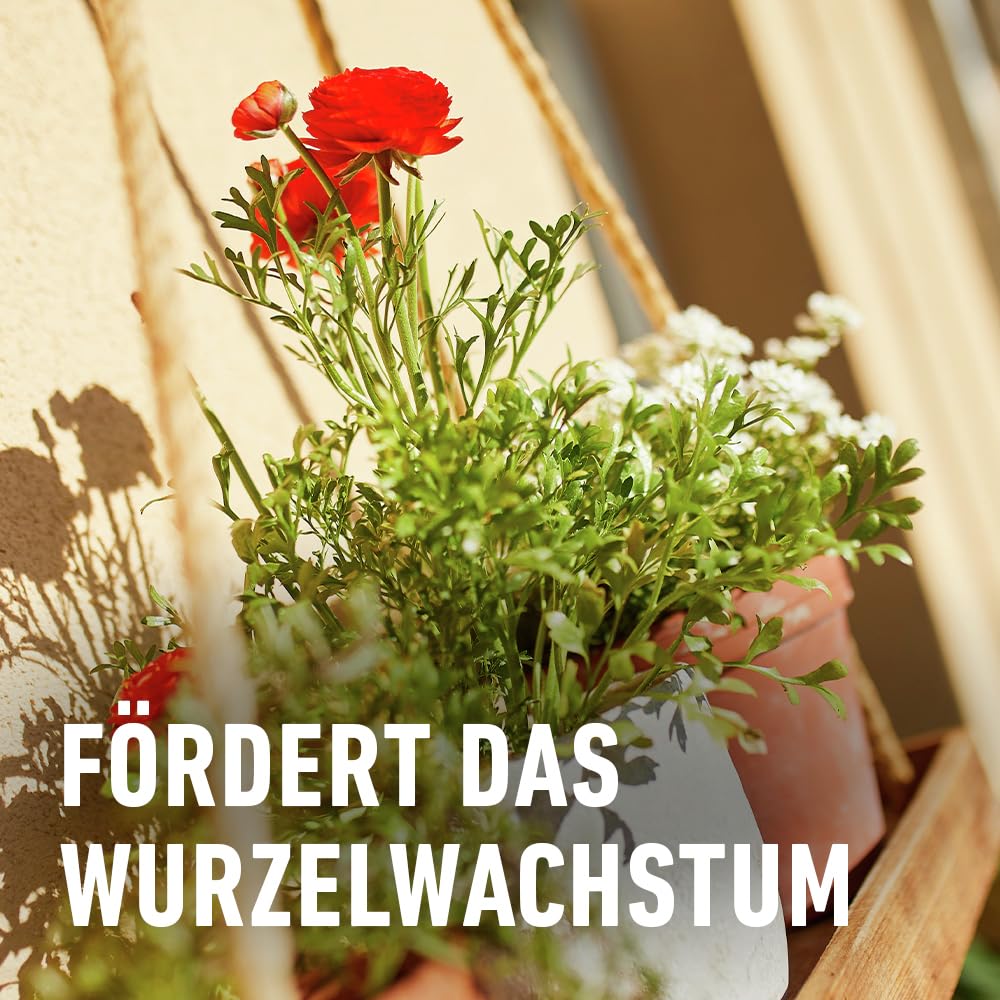 compo-balkon-und-k-belpflanzend-nger-fl-ssigd-nger-1-3-l image 5
