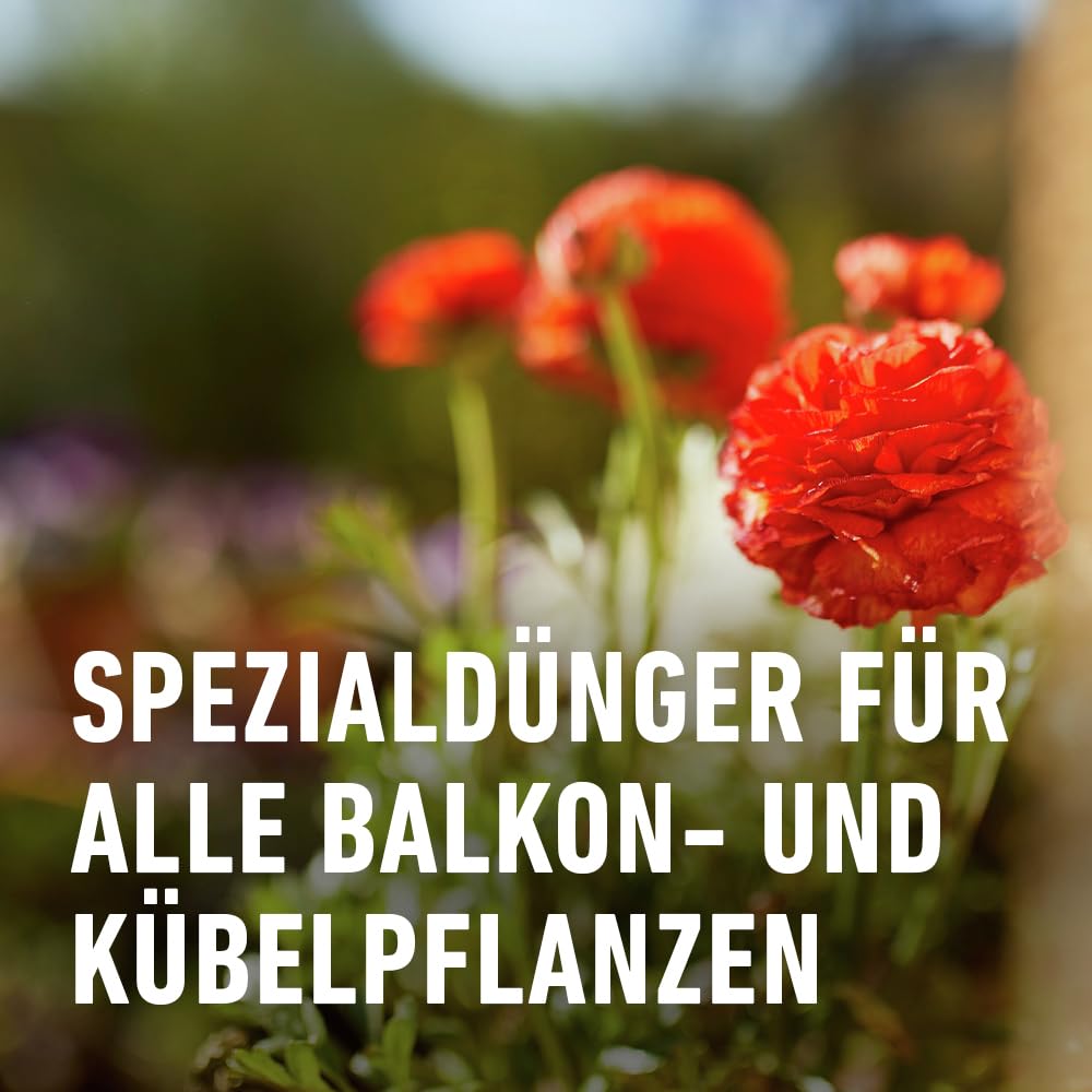 compo-balkon-und-k-belpflanzend-nger-fl-ssigd-nger-1-3-l image 4