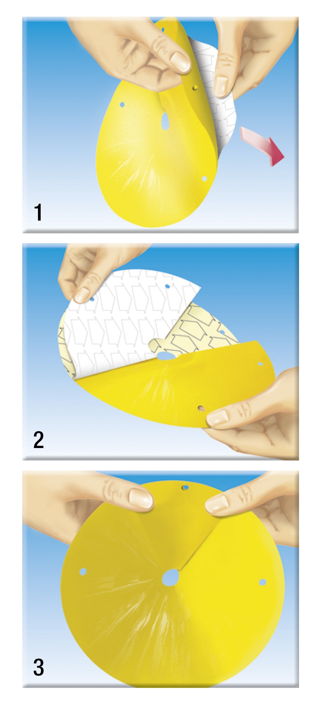 compo-bio-kirschfruchtfliegen-falle-3-st-ck-mit-lockstoff-gegen-maden image 4