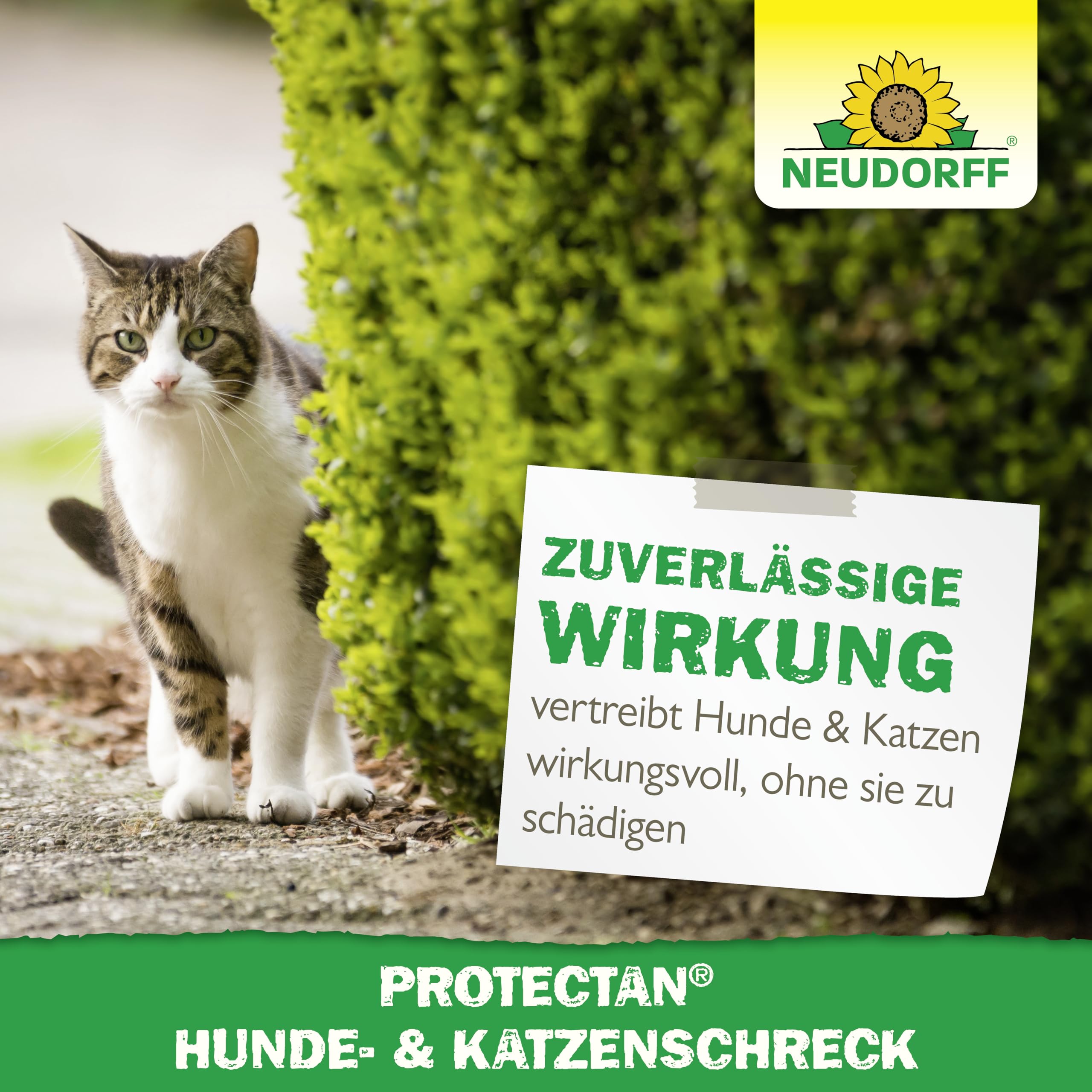 neudorff-protectan-hunde-und-katzenschreck-spray-500-ml image 6