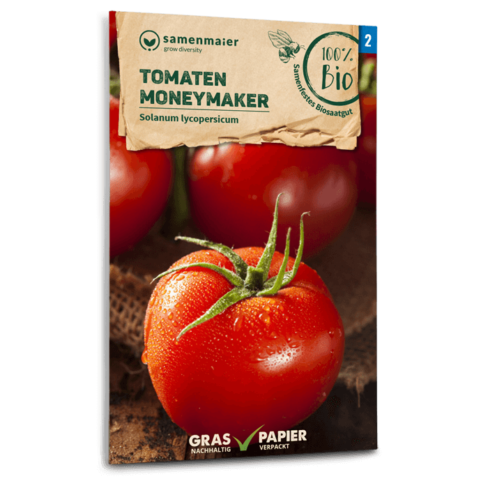 plantura-bio-tomate-moneymaker-bio-saatgut image 1