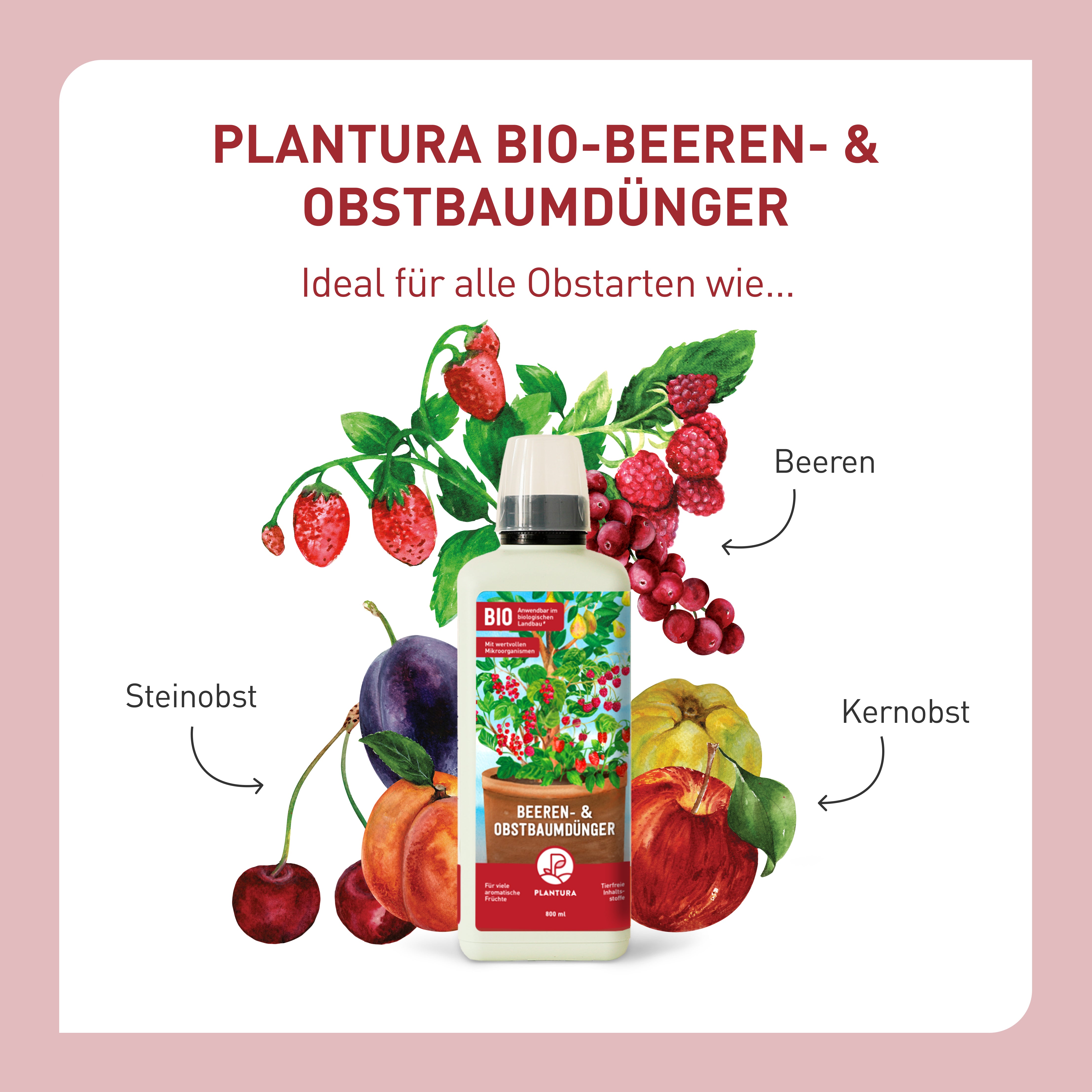 plantura-bio-beeren-obstbaumd-nger-800-ml-fl-ssigd-nger image 3