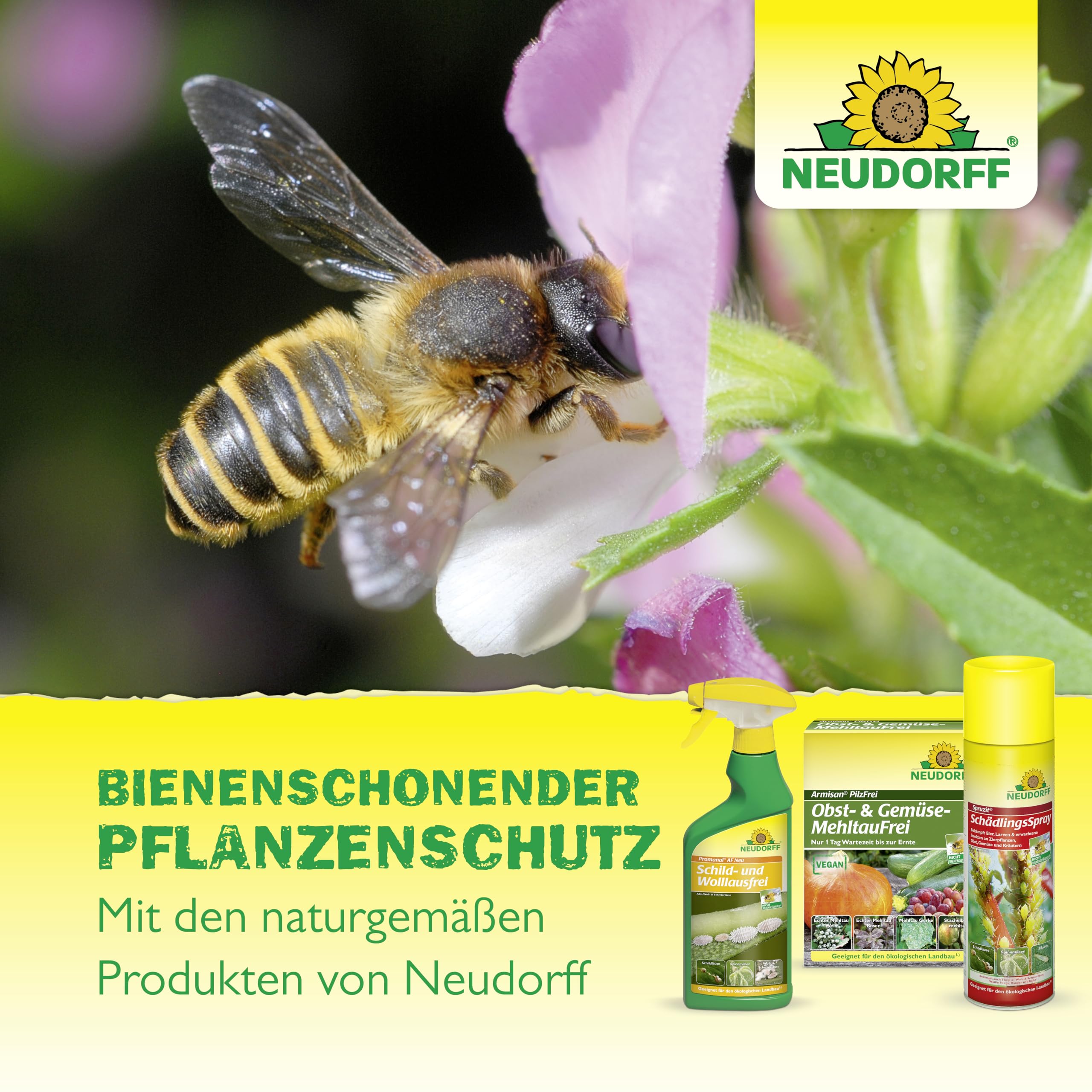 neudorff-neudosan-af-neu-blattlausfrei-sch-dlingsbek-mpfung-spray-500-ml image 7