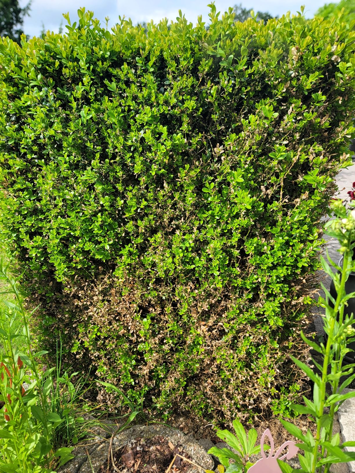 Ganz okay, Anwendung tricky