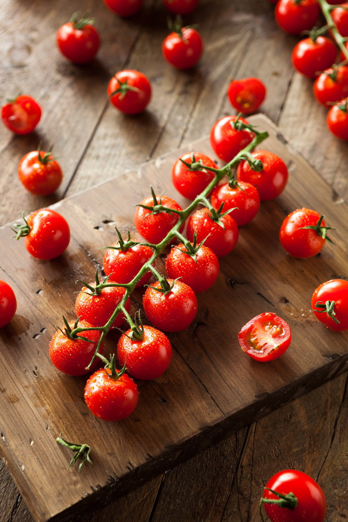 plantura-bio-tomate-resi-bio-saatgut-cherrytomate image 2