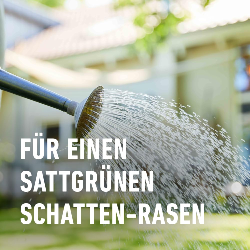 compo-saat-schatten-rasen-2-kg-f-r-100-m-mantelsaat-f-r-schattige-lagen image 6