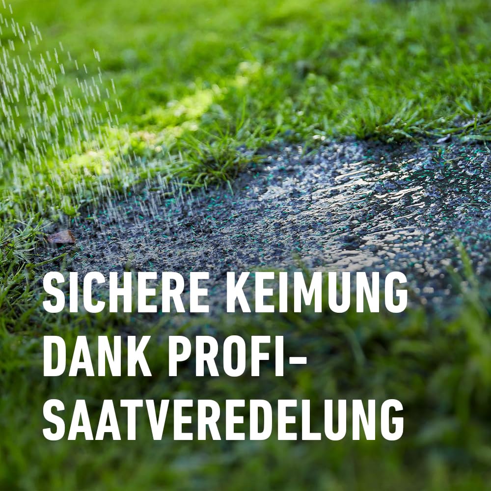compo-saat-schatten-rasen-2-kg-f-r-100-m-mantelsaat-f-r-schattige-lagen image 7