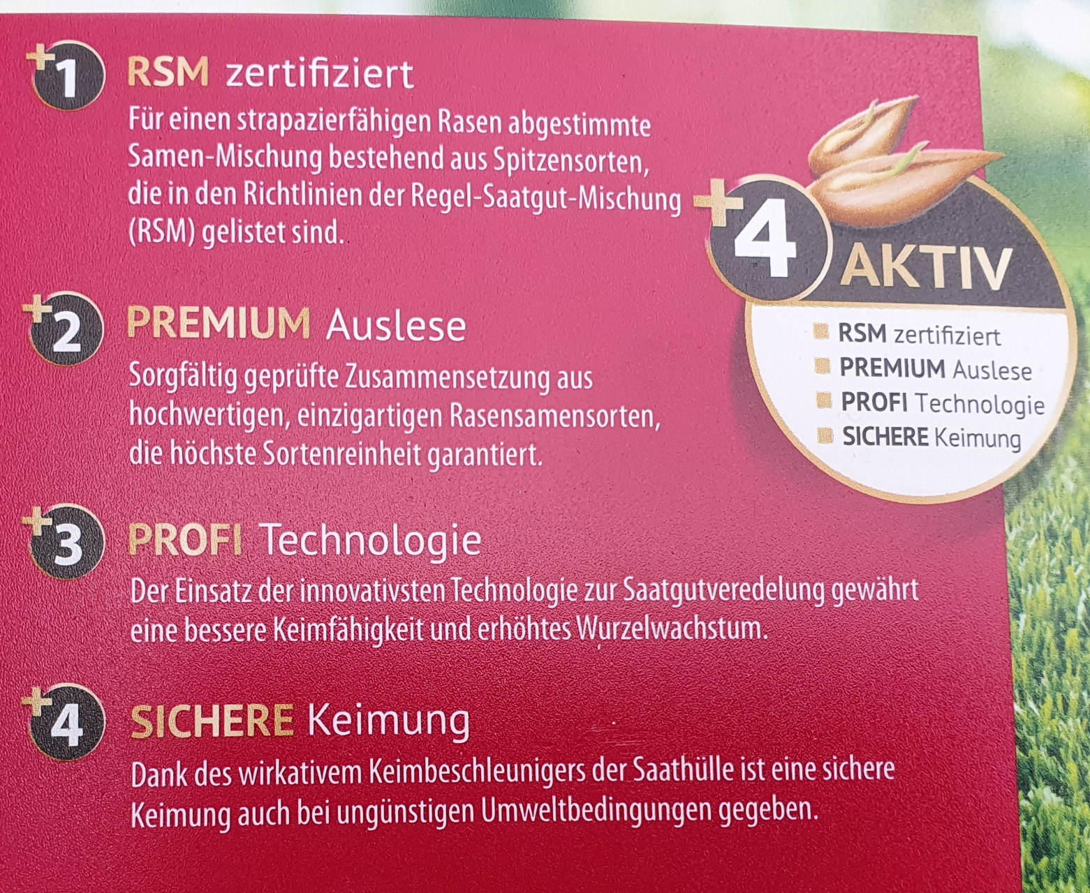 Wie vom Sportplatz