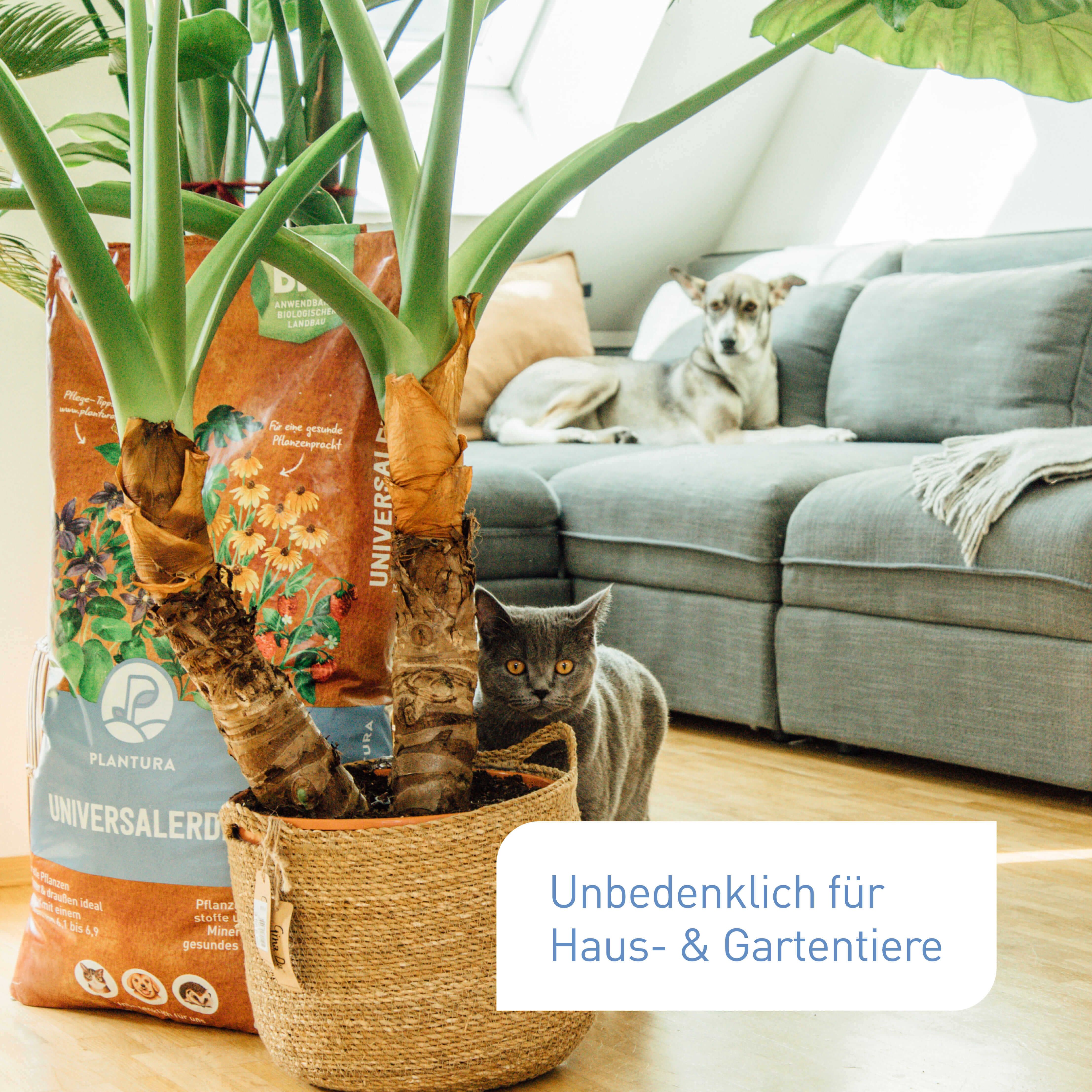 plantura-bio-universalerde-palette-60-x-40-l-torffrei image 6