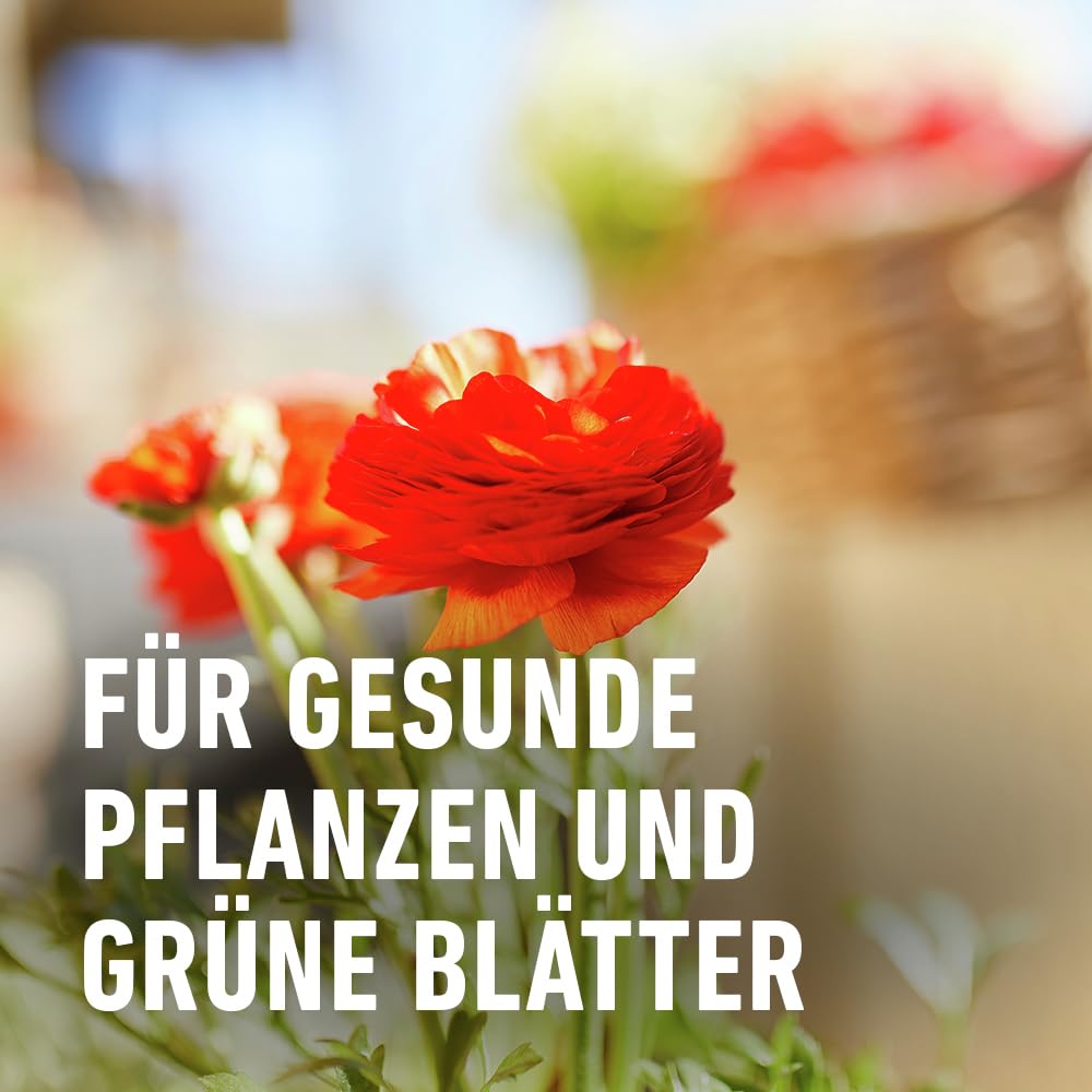 compo-balkon-und-k-belpflanzend-nger-fl-ssigd-nger-1-3-l image 7