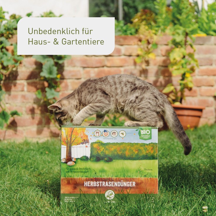 plantura-bio-herbstrasend-nger-3-kg-box-organischer-granulatd-nger-npk-5-1-9 image 6