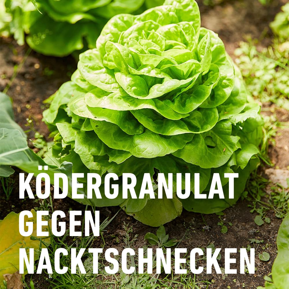 compo-schnecken-frei-schneckenkorn-2x-200-g-vorteilspack-bis-800-m image 3