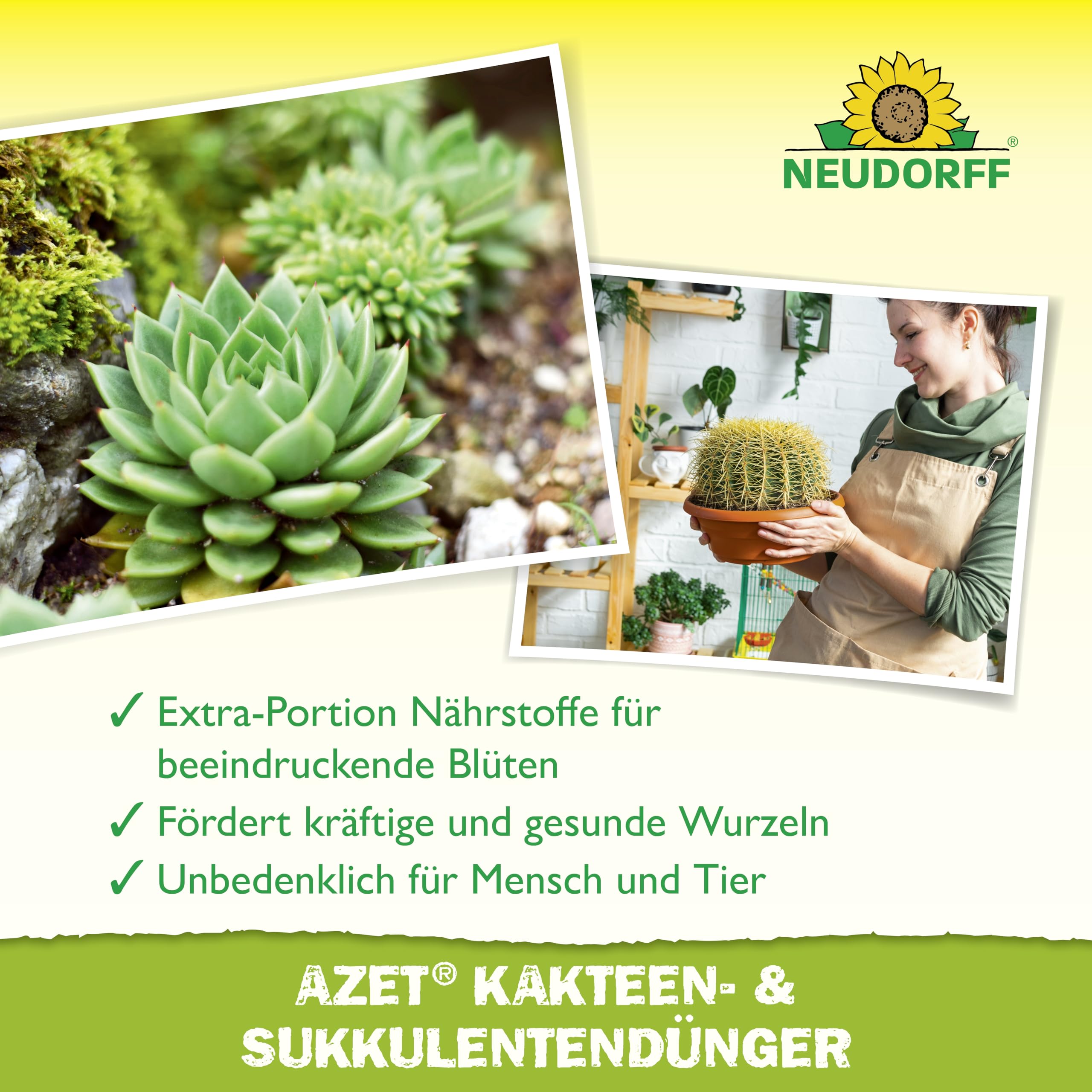 neudorff-azet-kakteen-sukkulentend-nger-bio-fl-ssigd-nger-250-ml image 4