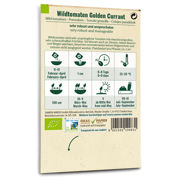 plantura-bio-wildtomate-golden-currant-bio-saatgut-cherrytomate image 3