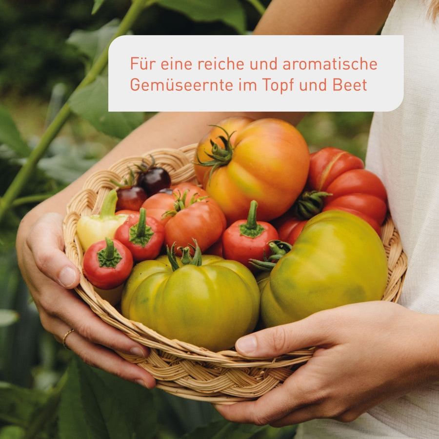 plantura-bio-tomaten-gem-seerde-palette-60-x-40-l image 2