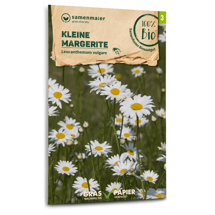 plantura-bio-kleine-margerite-wildblume-bio-saatgut image 1