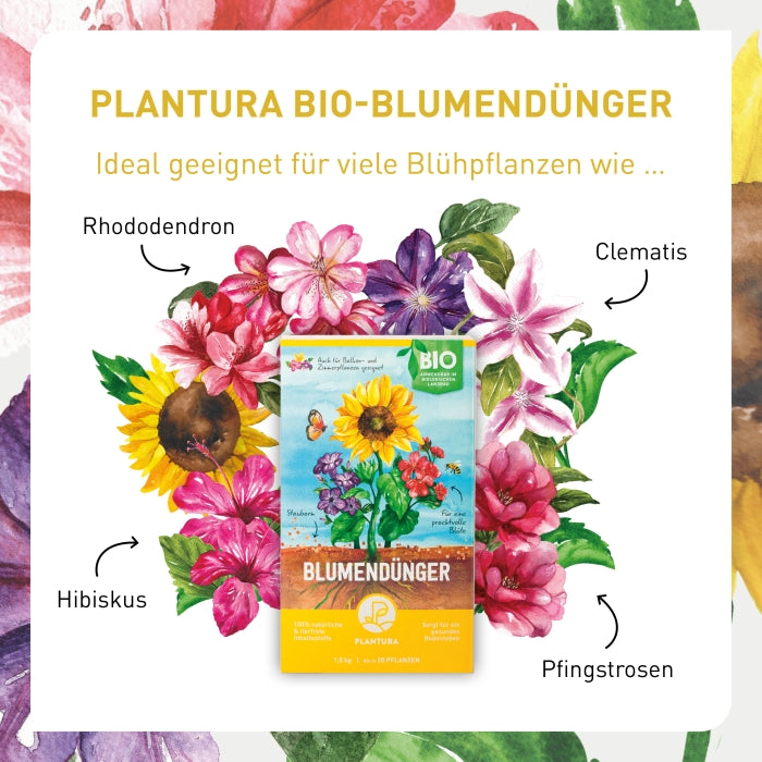 plantura-bio-blumend-nger-1-5-kg-granulat-mit-langzeitwirkung image 3