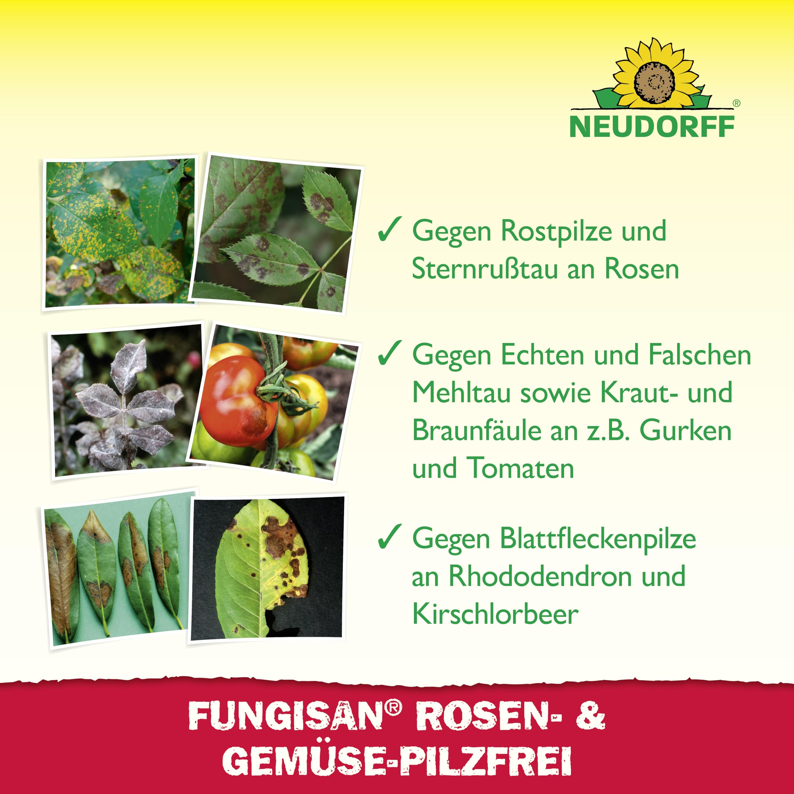 neudorff-fungisan-rosen-und-gem-se-pilzfrei-konzentrat-16-ml image 5