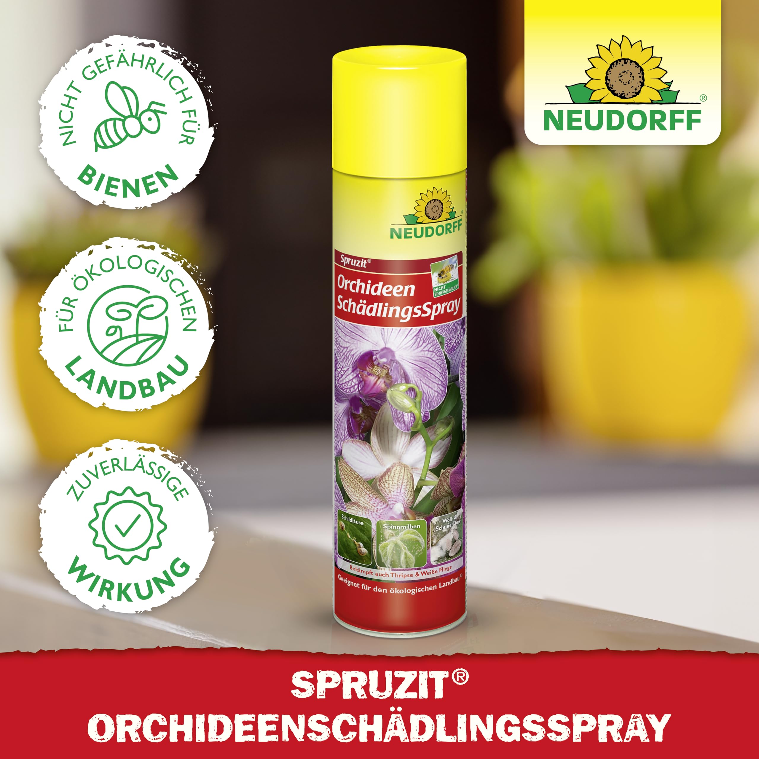 neudorff-spruzit-orchideensch-dlingsspray-300-ml-anwendungsfertig image 5