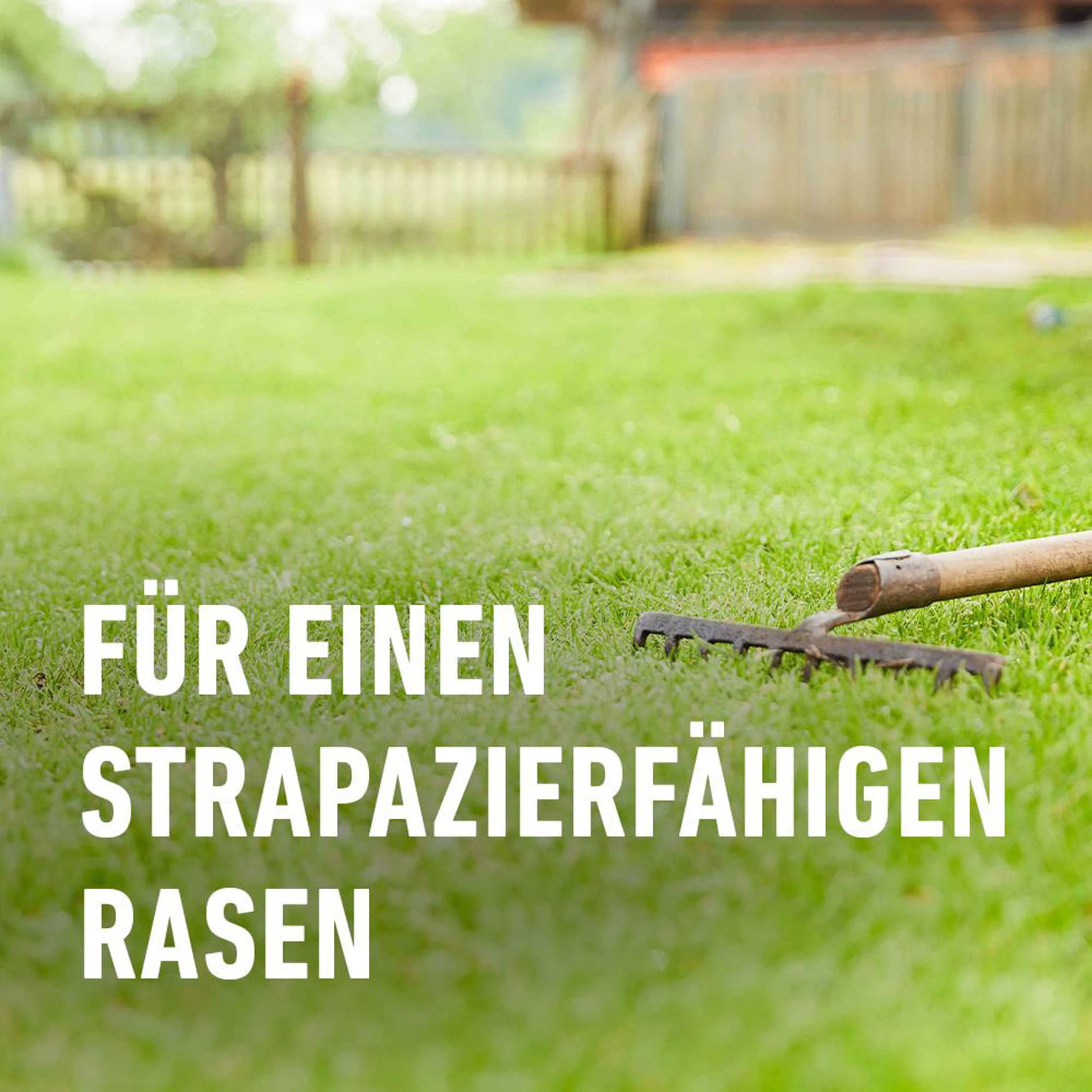 compo-saat-strapazier-rasen-2kg-f-r-100m-mit-keimbeschleuniger image 6