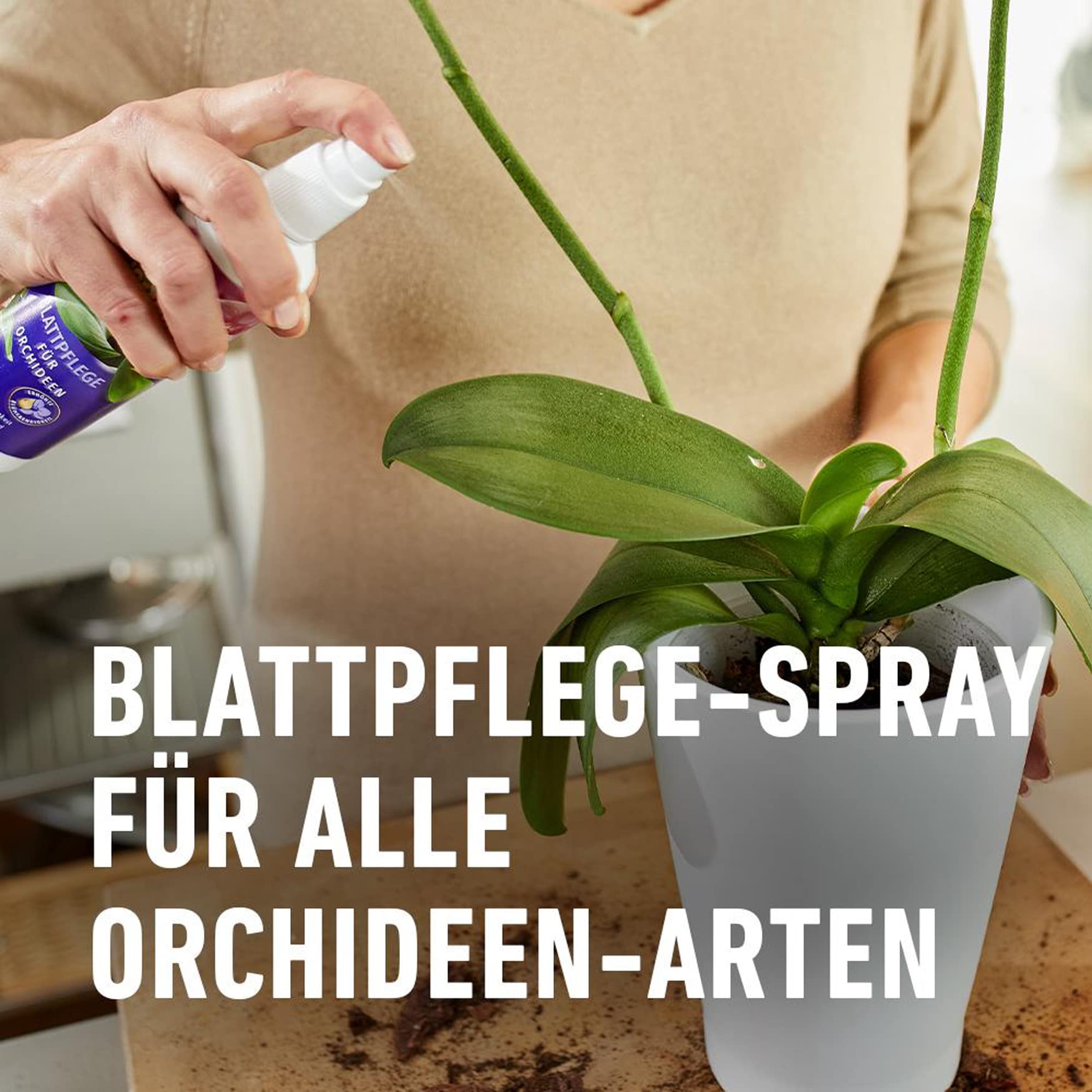compo-blattpflege-f-r-orchideen-250-ml-spr-hflasche image 2