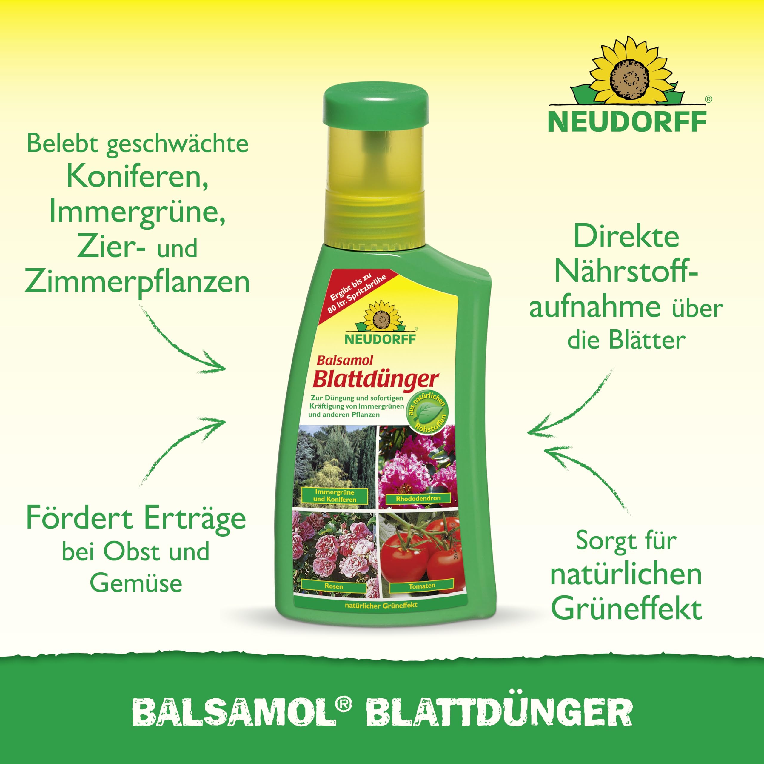 neudorff-balsamol-blattd-nger-konzentrat-250-ml-f-r-bis-zu-80-liter image 2