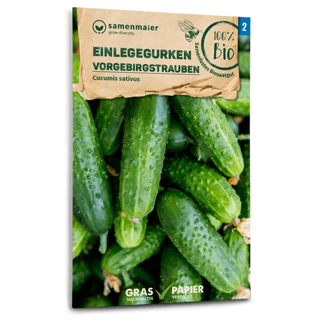 plantura-bio-einlegegurke-vorgebirgstrauben-bio-saatgut image 1