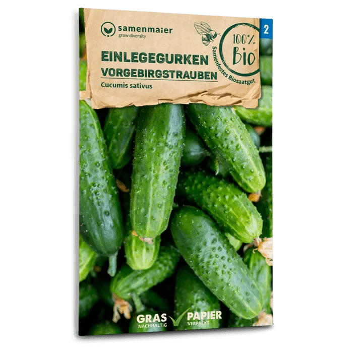 plantura-bio-einlegegurke-vorgebirgstrauben-bio-saatgut image 1