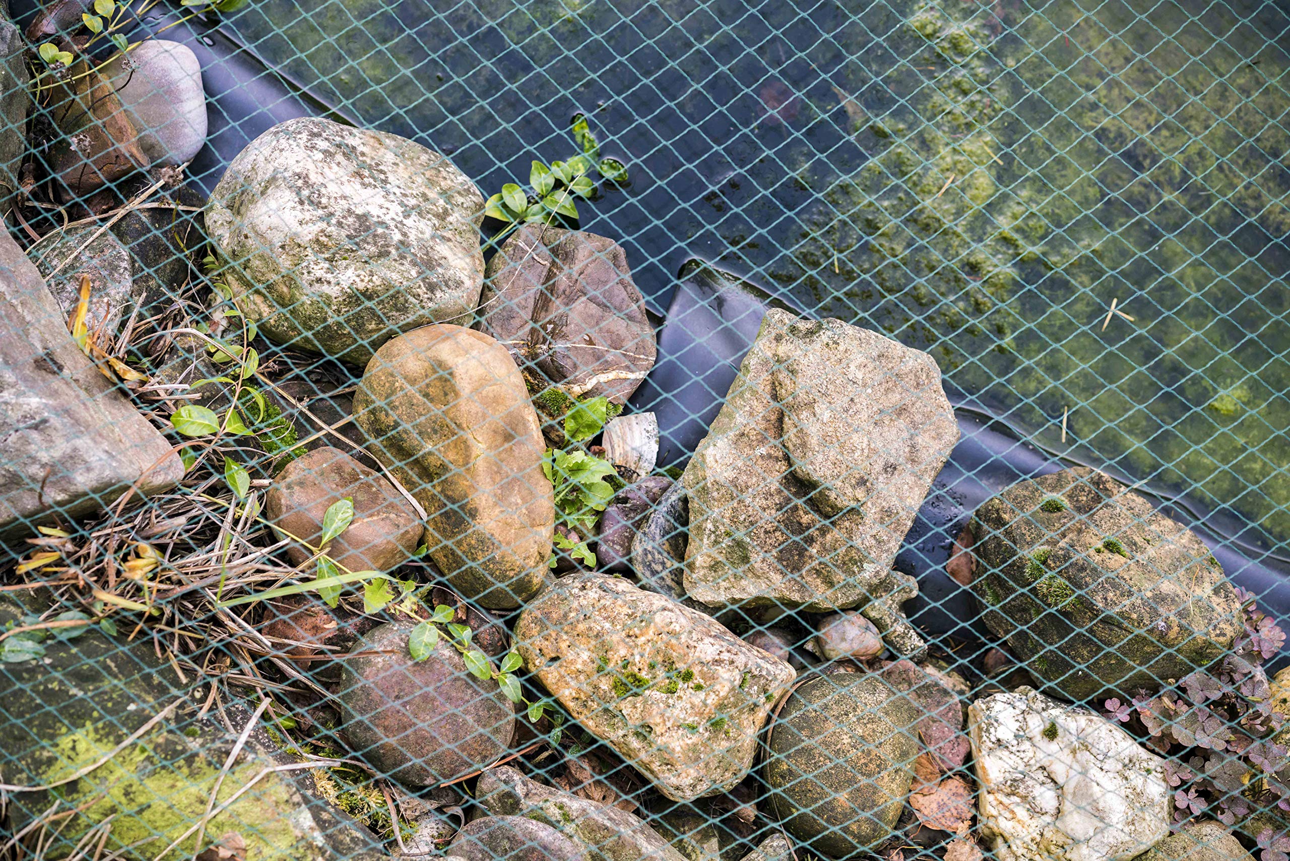aquagart-teichnetz-4-m-x-10-m-dunkelgr-n-12-x-12-mm image 7
