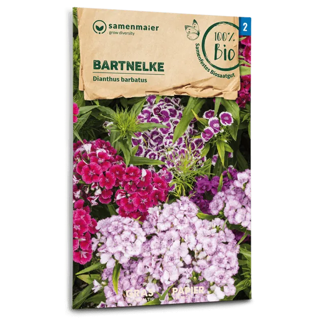 plantura-bio-bartnelken-mischung-bio-saatgut image 1