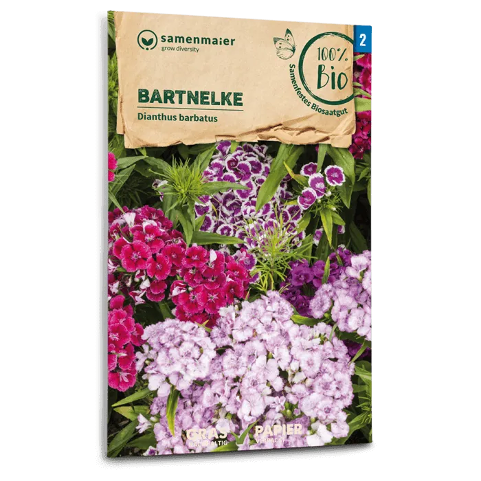 plantura-bio-bartnelken-mischung-bio-saatgut image 1