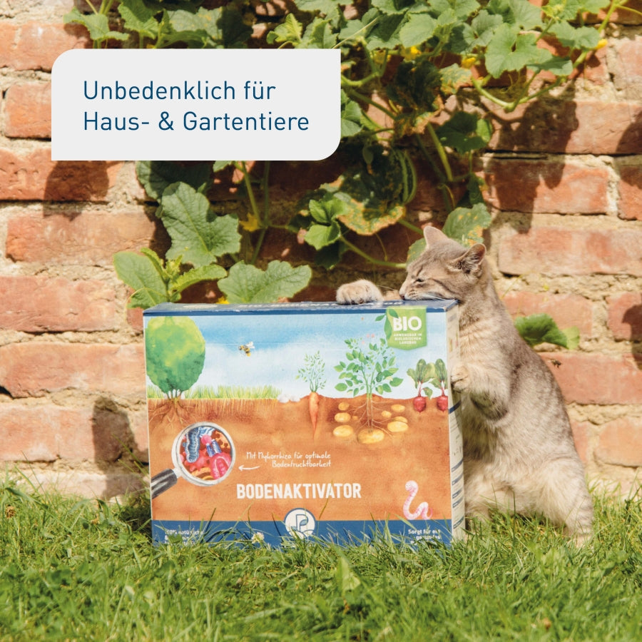 plantura-bio-bodenaktivator-3-kg-box-organischer-bodend-nger-npk-4-1-2-8 image 6