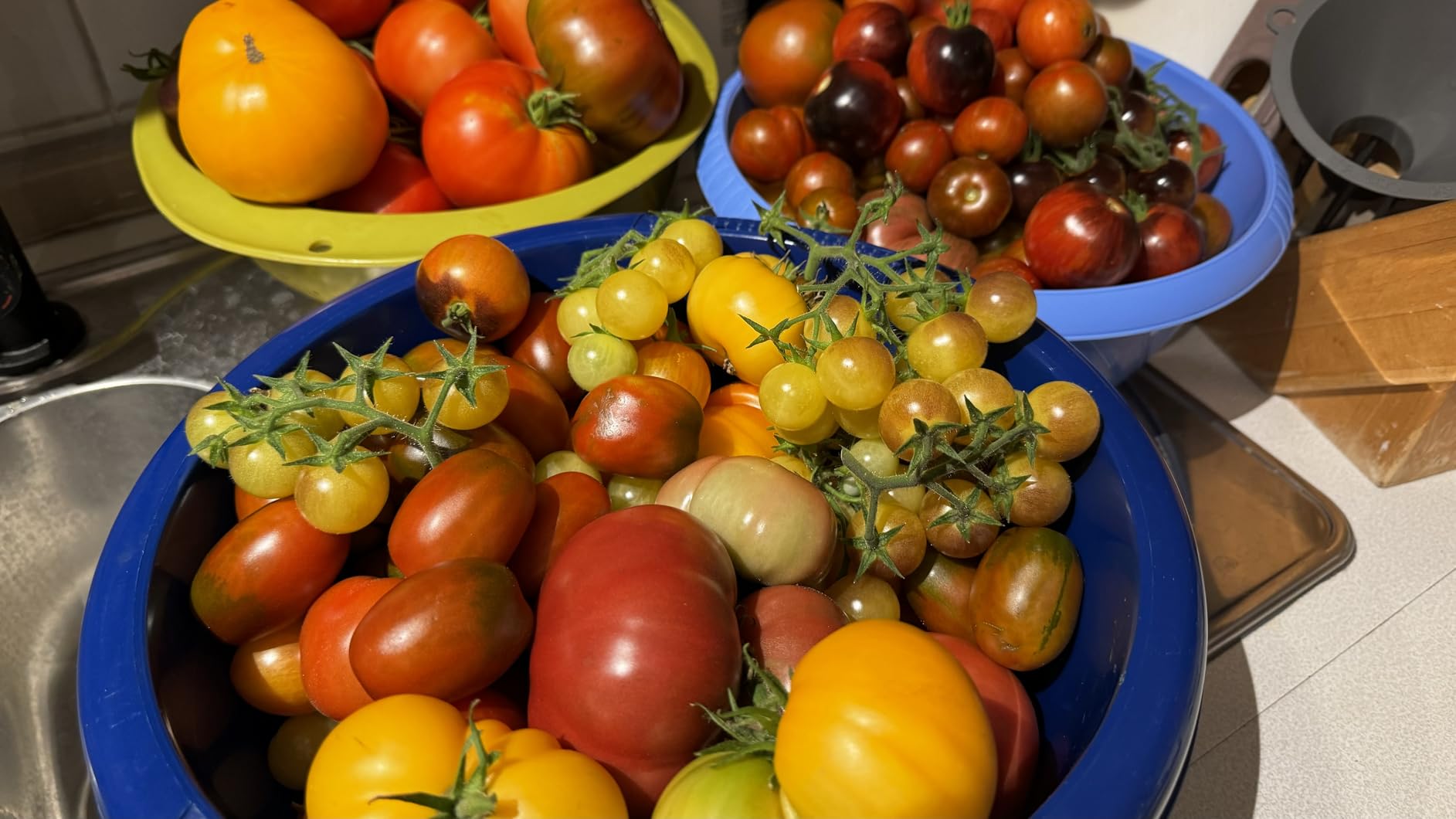 Riesige Ernte