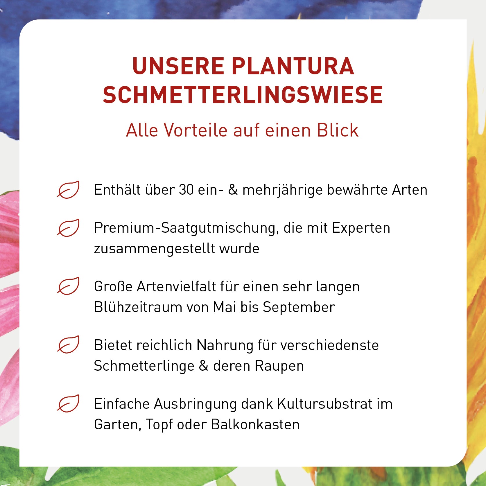 plantura-schmetterlingswiese-150-g-blumenmischung-ber-30-arten image 7