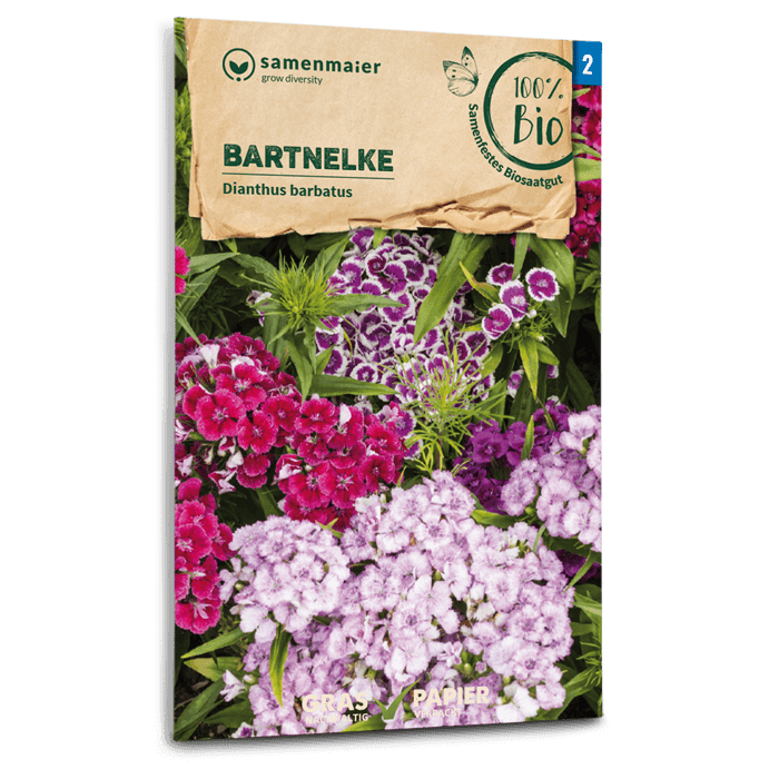 plantura-bio-bartnelken-mischung-bio-saatgut image 1
