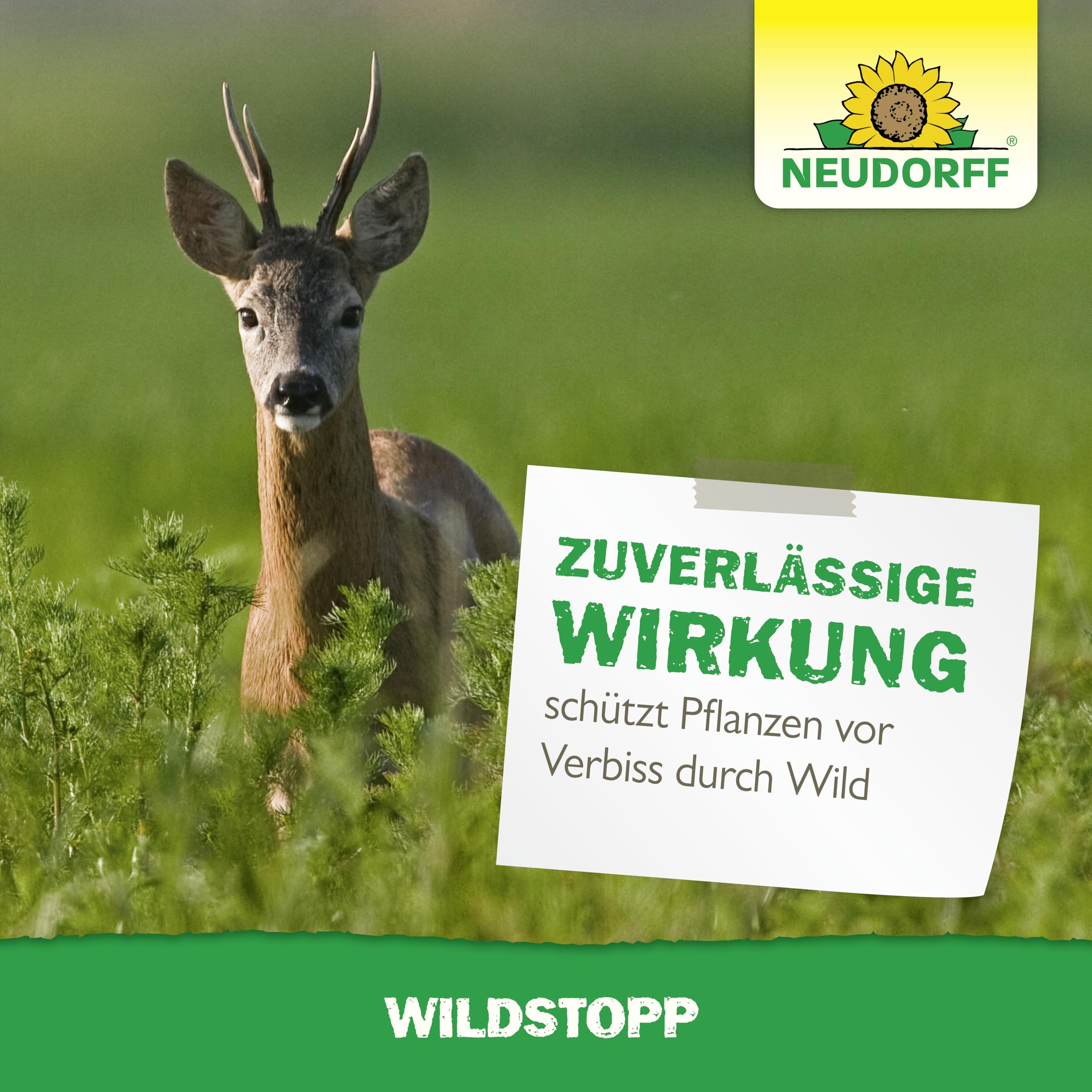 neudorff-wildstopp-100-g-wildvergr-mung-gegen-wildverbiss-an-obst-und-zierpflanz image 6