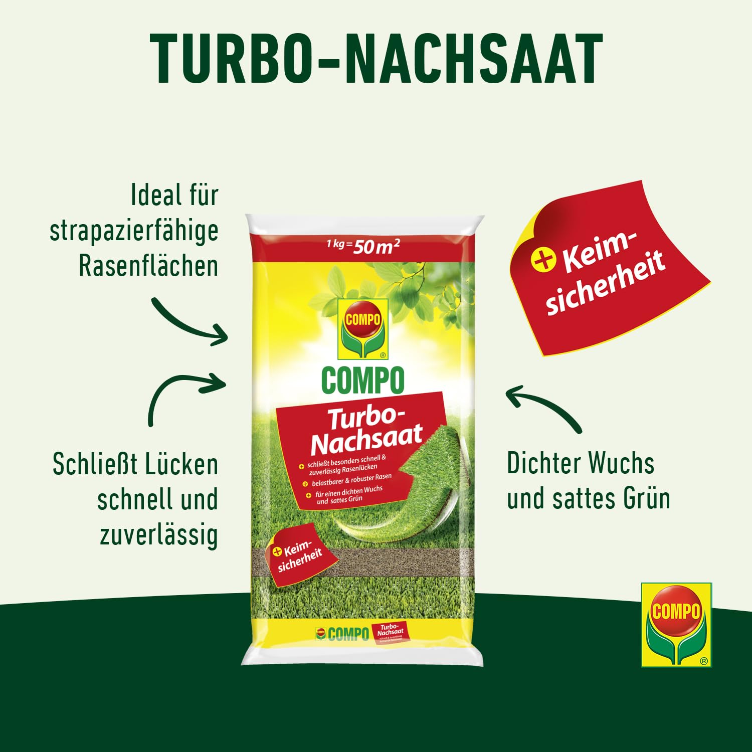 compo-turbo-nachsaat-premium-rasensamen-schnellkeimend-1-kg-f-r-50-m image 3