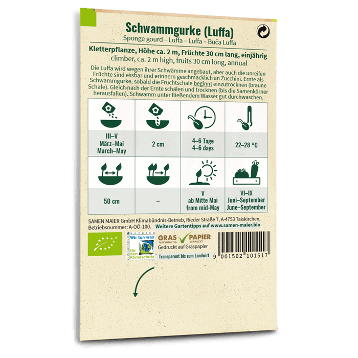 plantura-bio-schwammgurke-luffa-bio-saatgut image 3