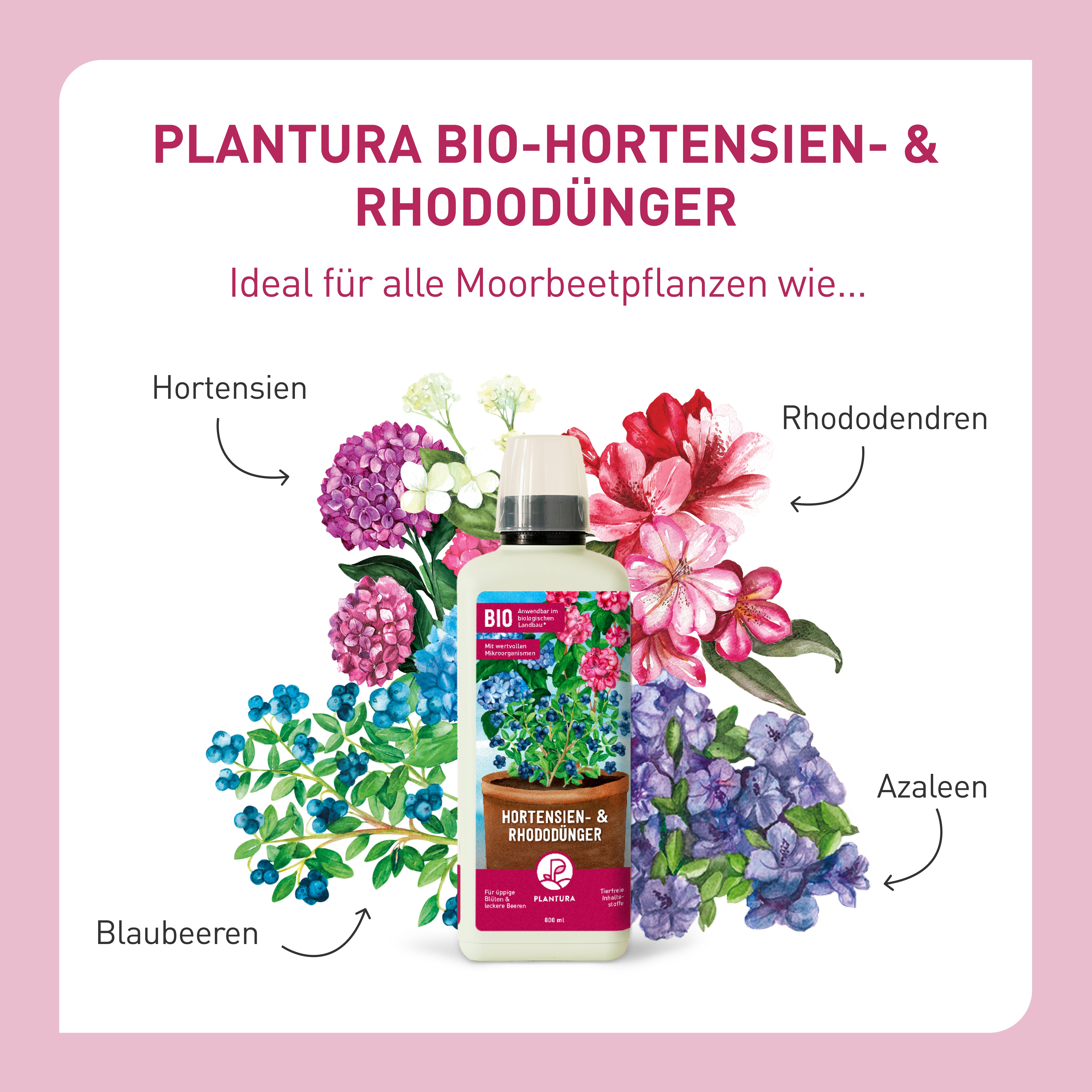 plantura-bio-hortensien-rhododendrond-nger-800-ml-fl-ssigd-nger image 3
