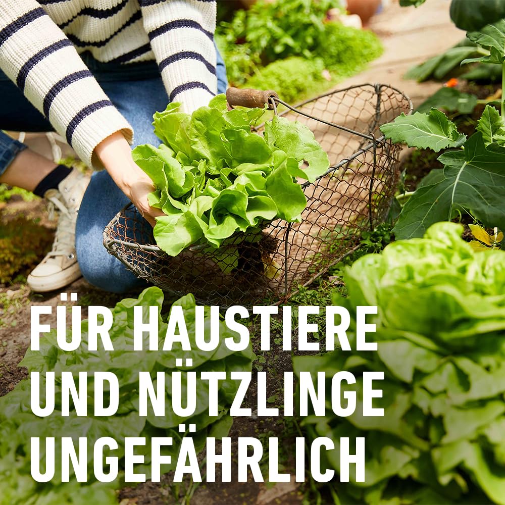 compo-schneckenkorn-streugranulat-1-1-kg-regenfest-gegen-nacktschnecken image 6